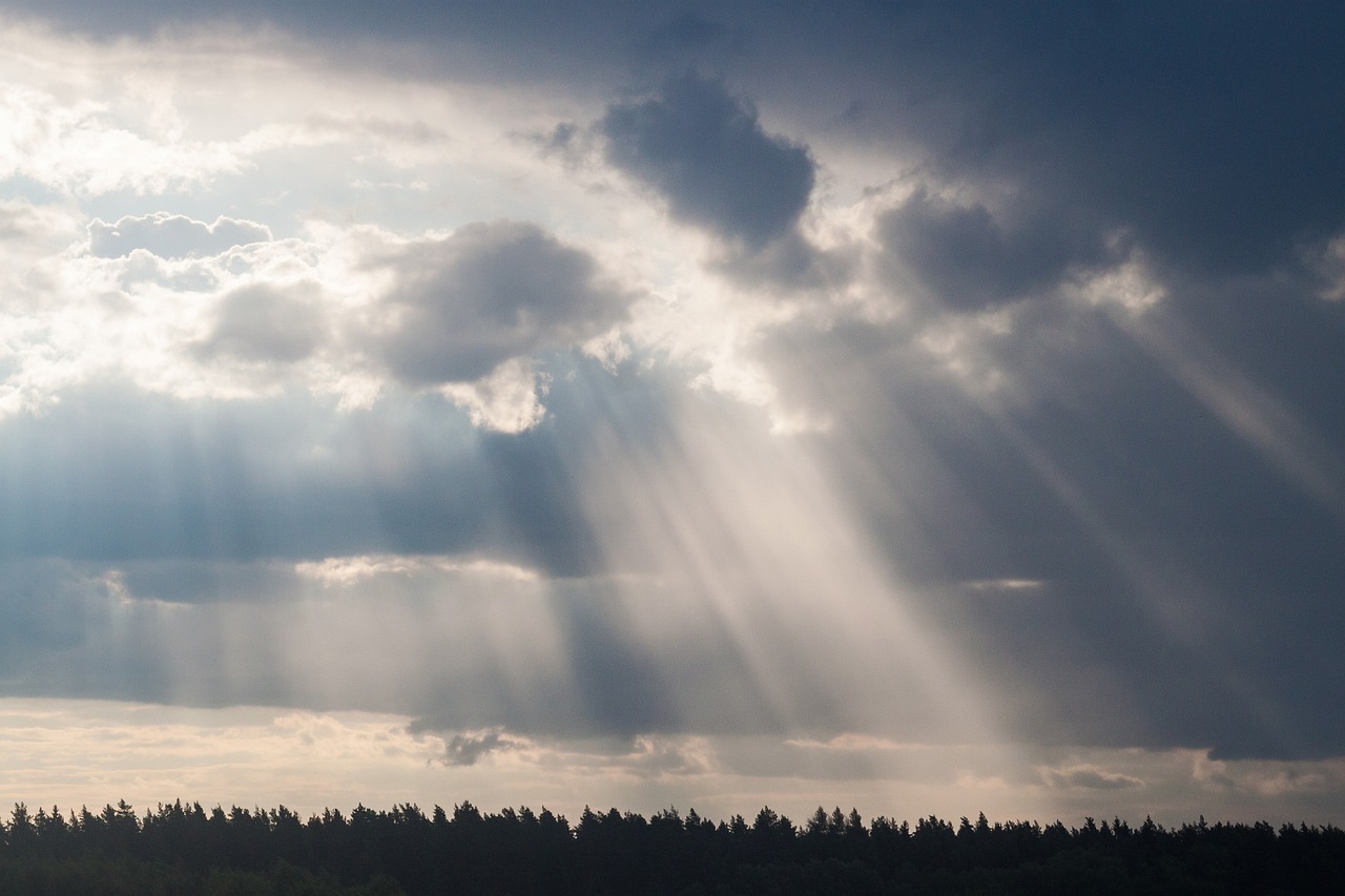 What are Eco-friendly Fabrics and How to Use Them?